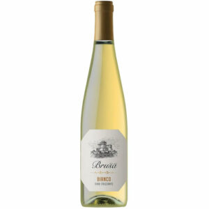 TERRE CEVICO - VINO BIANCO FRIZZANTE BRUSA IGT RUBICONE L 0