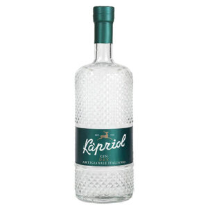 GIN KAPRIOL DRY L. 0,70