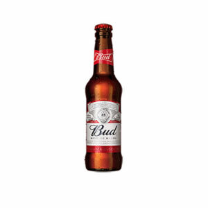 Anheuser-Busch InBev - BIRRA BUD L. 0